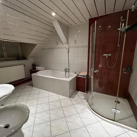 Hotel Zur Sonne Falkenstein (Vogtland)