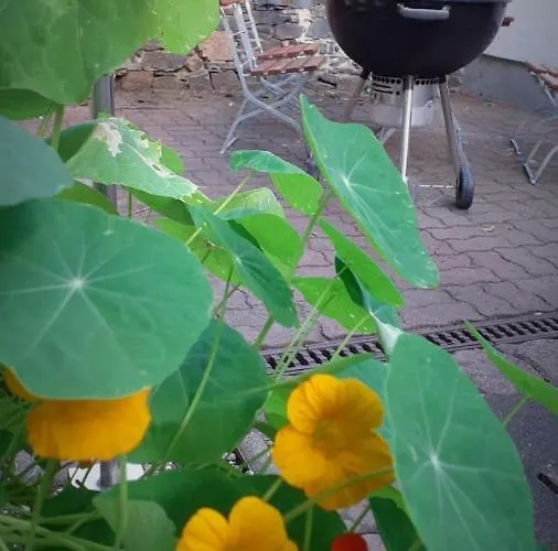 Zur Sonne Falkenstein (Vogtland)